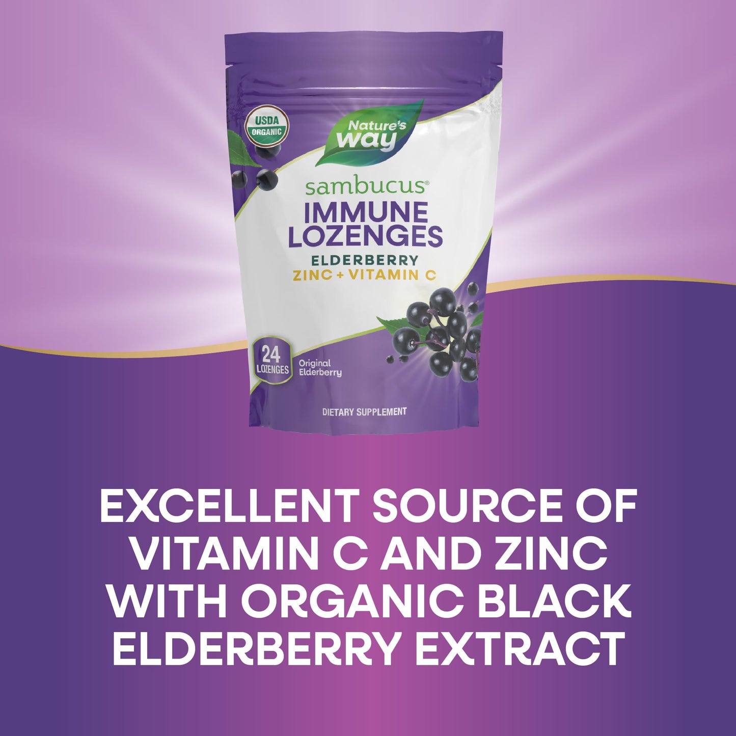 Nature's Way Sambucus Immune Lozenges – On-the-Go Immunity, Zinc & Vitamin C | Vegan & Gluten-Free | 24 Count