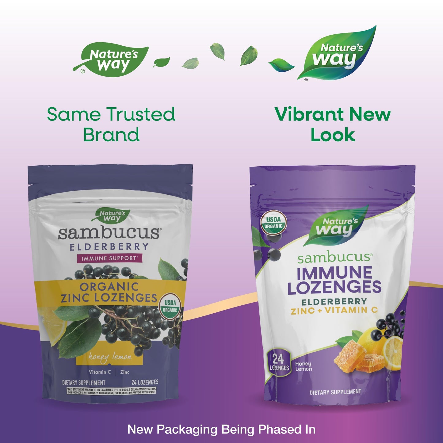 Nature's Way Sambucus Immune Lozenges – Organic Elderberry, Zinc & Vitamin C (Honey Lemon)