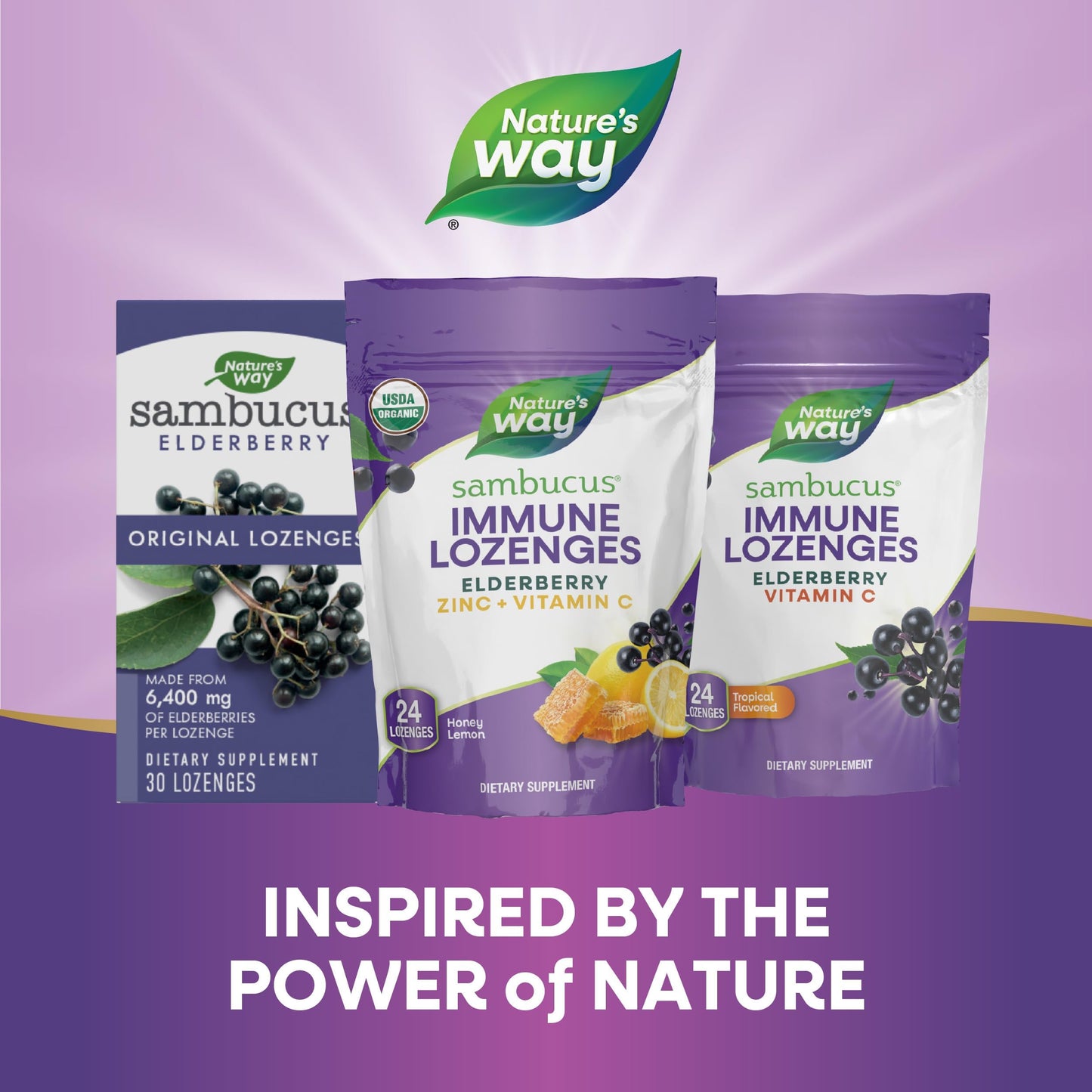 Nature's Way Sambucus Immune Lozenges – Organic Elderberry, Zinc & Vitamin C (Honey Lemon)