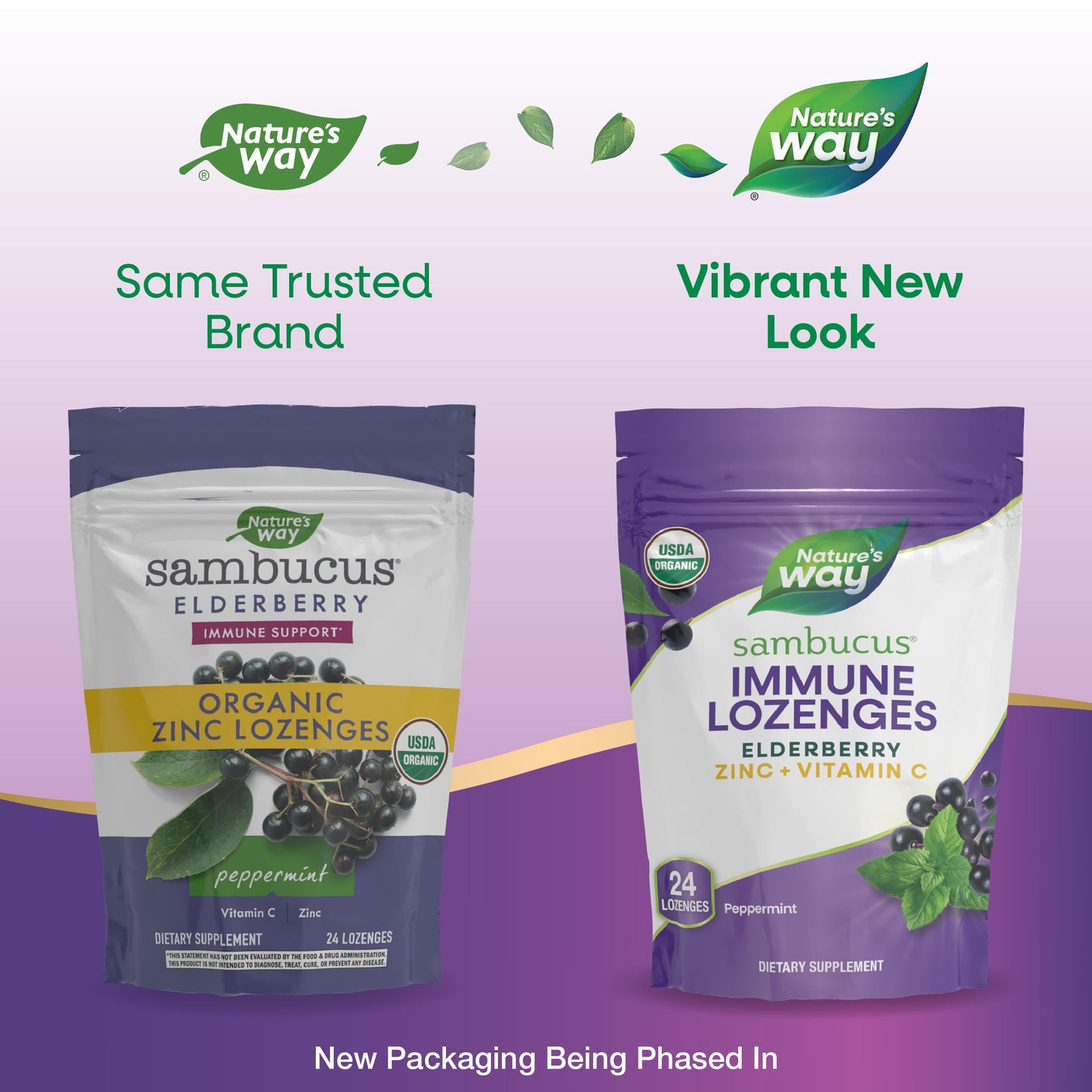 Nature’s Way Sambucus Zinc Lozenges with Elderberry, Vitamin C, Peppermint – 24 Lozenges