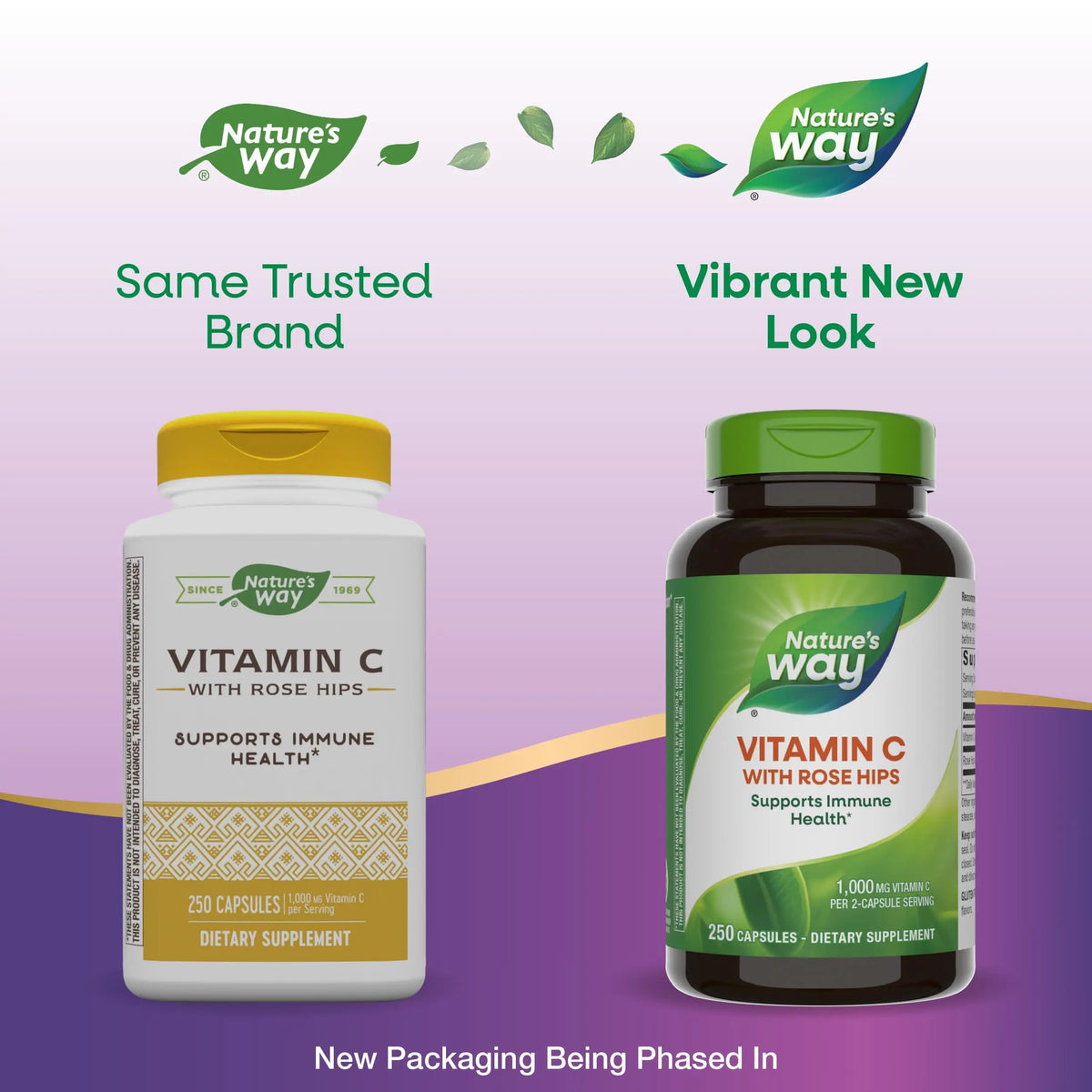 Nature's Way Vitamin C with Rose Hips – 1000 mg per 2-Capsule Serving, Immune Support & Skin Health (500 Capsules) BritishVita | Premium UK Vitamins & Wellness Supplements