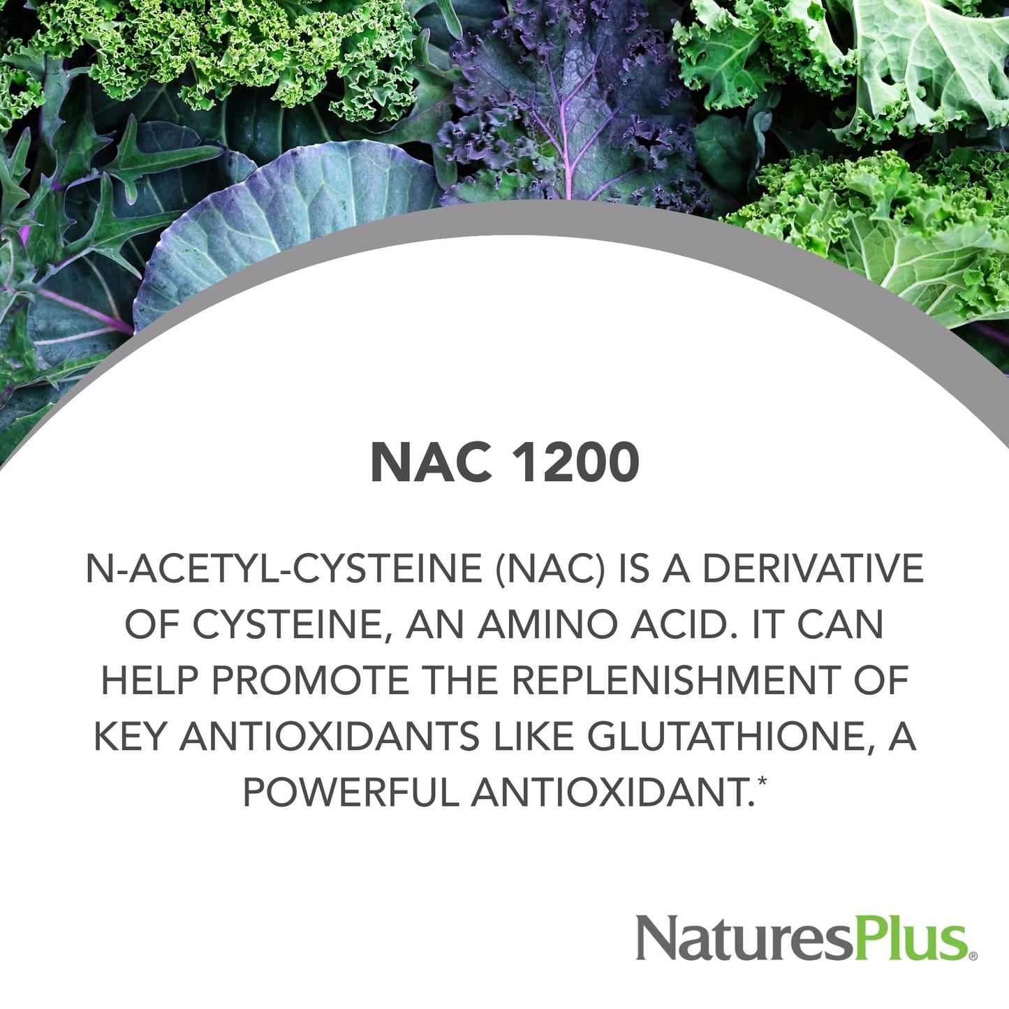 Natures Plus PRO NAC 1200 mg - 60 Capsules (30 Servings) | Non-GMO, Vegan & Gluten Free
