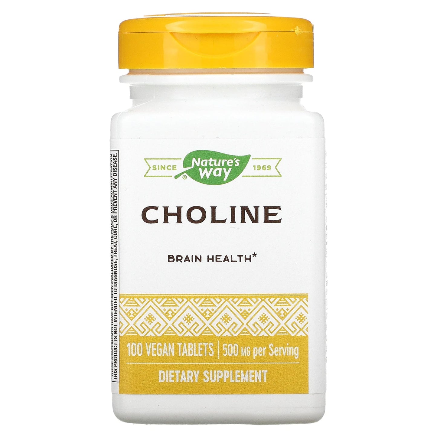 Nature’s Way 500 mg Choline – 100 Count | Brain Support Supplement