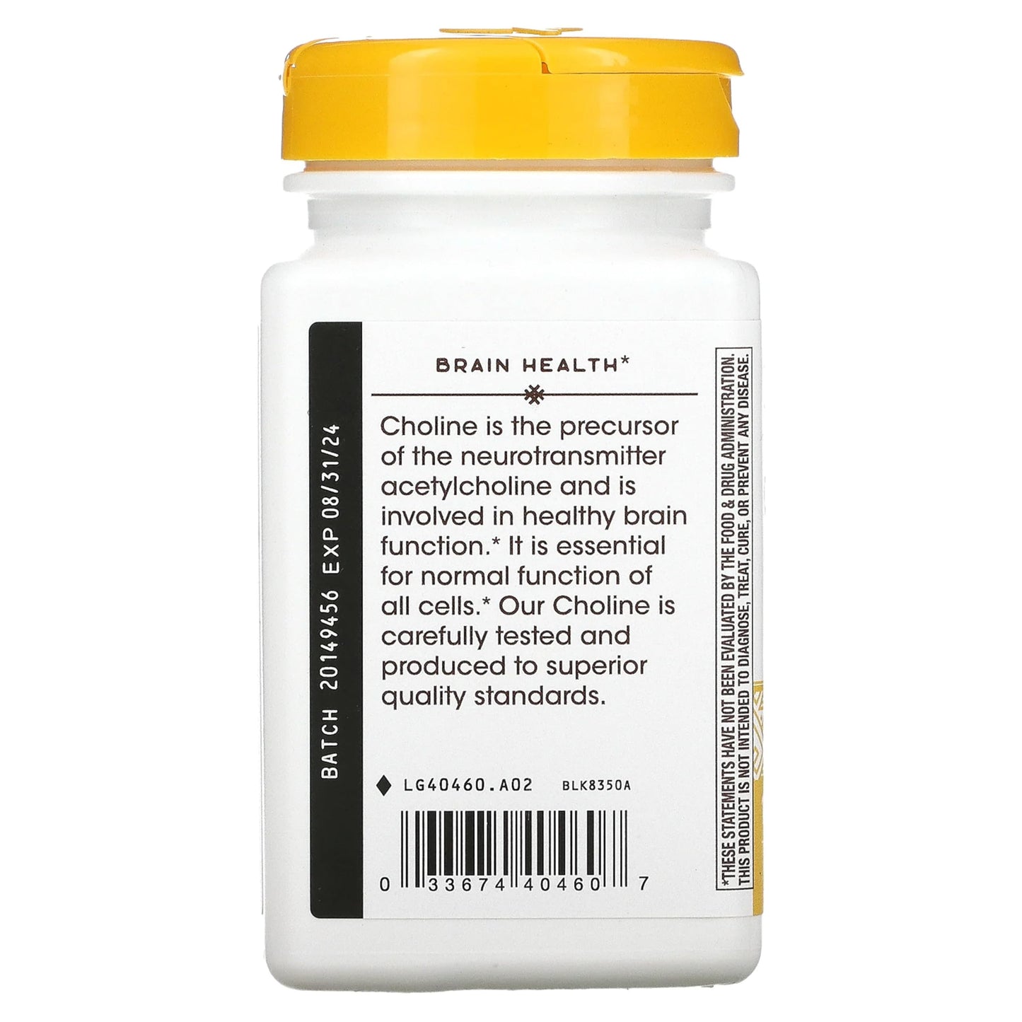 Nature’s Way 500 mg Choline – 100 Count | Brain Support Supplement