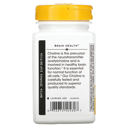 Nature’s Way 500 mg Choline – 100 Count | Brain Support Supplement