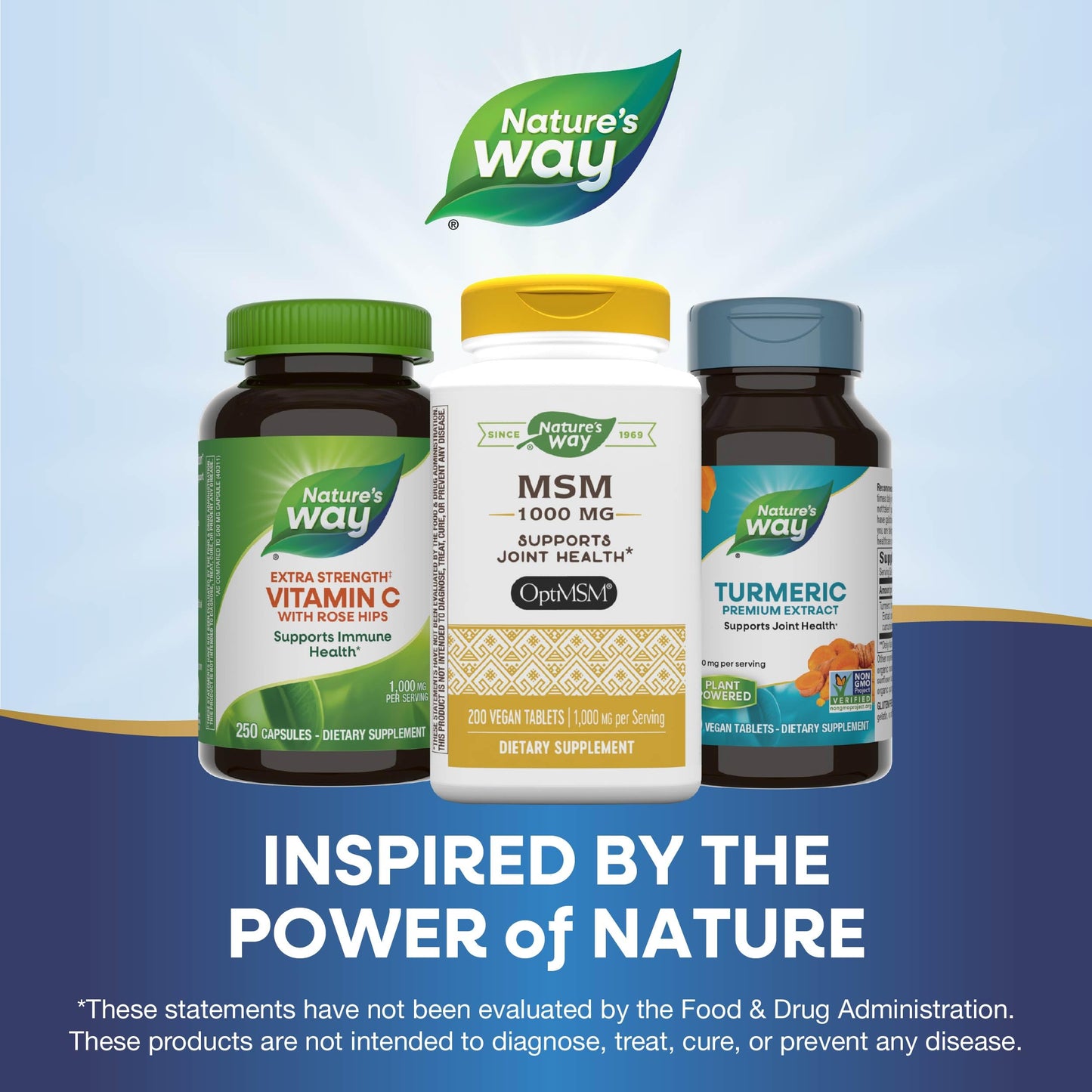 Nature's Way MSM 1000 mg – Joint Health Supplement* (Gluten-Free & Vegan) | 200 Tablets Pack of 2