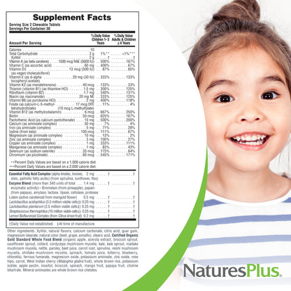 NaturesPlus Animal Parade Gold Children's Multivitamin – 60 Cherry/Orange/Grape Chewables, 2-Pack (Gluten Free, Vegetarian)