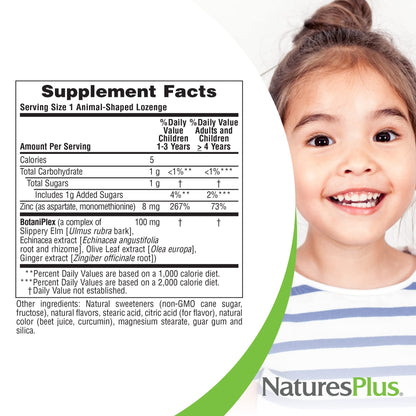NaturesPlus Animal Parade KidZinc Tangerine — 90 Lozenges, 3-Pack | Vegan & Gluten Free