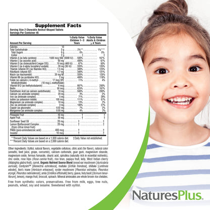 NaturesPlus Animal Parade Sugar-Free Kids Multivitamin - 2 Pack (90 Chewables) Cherry, Grape & Orange