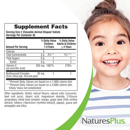 NaturesPlus Animal Parade Sugar-Free Vitamin C — 90 Chewables, Natural Orange Flavor, Immune Support, Gluten Free