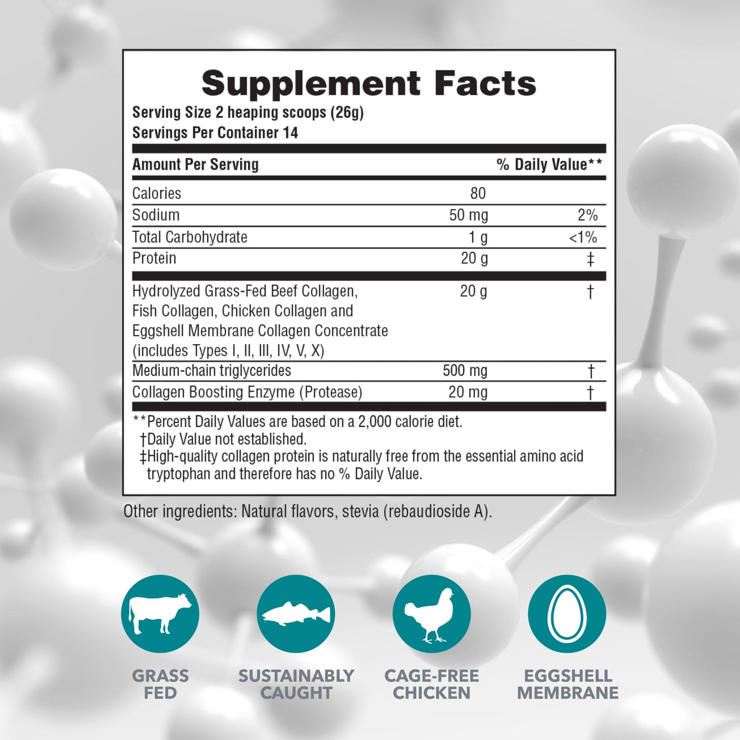 NaturesPlus Collagen Peptides Vanilla – 0.8 lb Powder | Hair, Skin, Nails, Joints & Immune Support