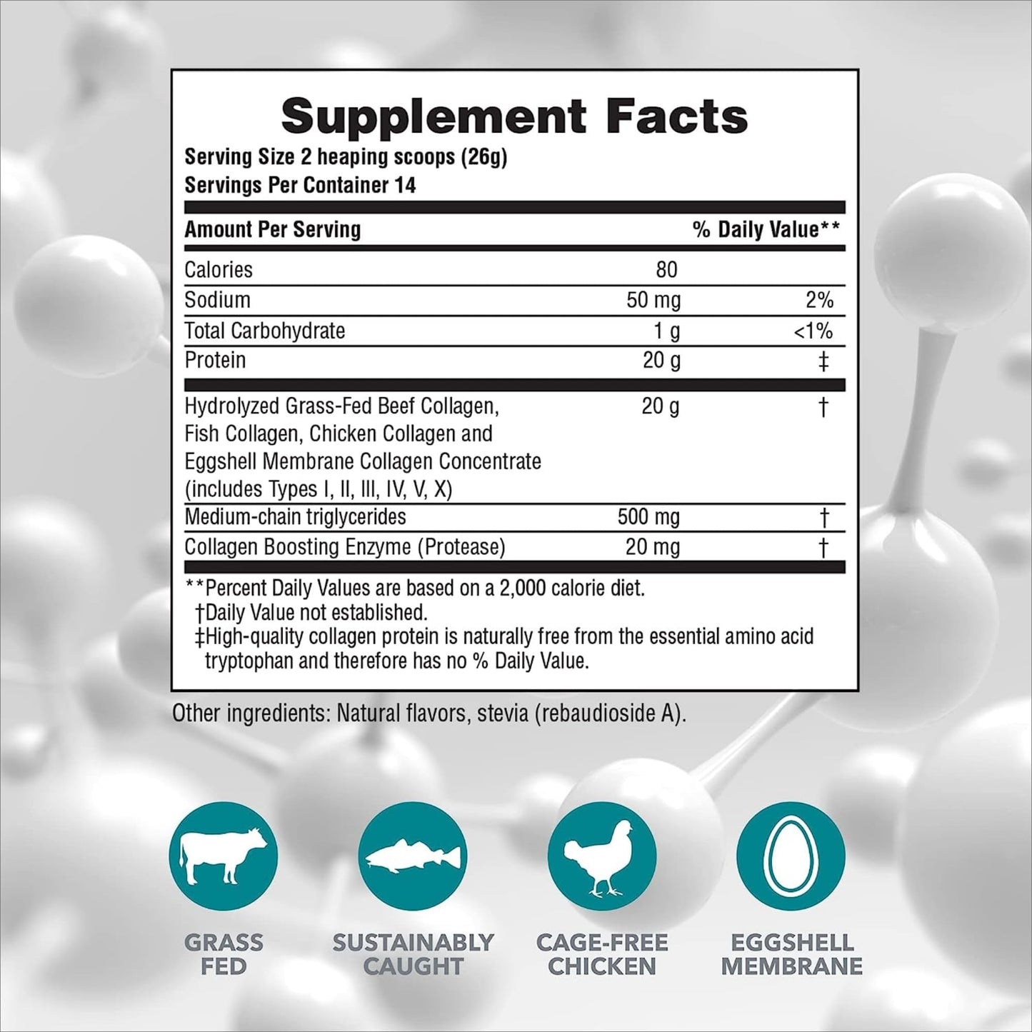 NaturesPlus Collagen Peptides Vanilla – 2 Pack (364 g) | Hair, Skin, Nails & Joints | Non-GMO, Gluten Free