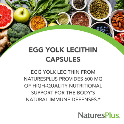 NaturesPlus Egg Yolk Lecithin - 600 mg, 180 Capsules - Soy Free, Gluten Free - 90 Servings