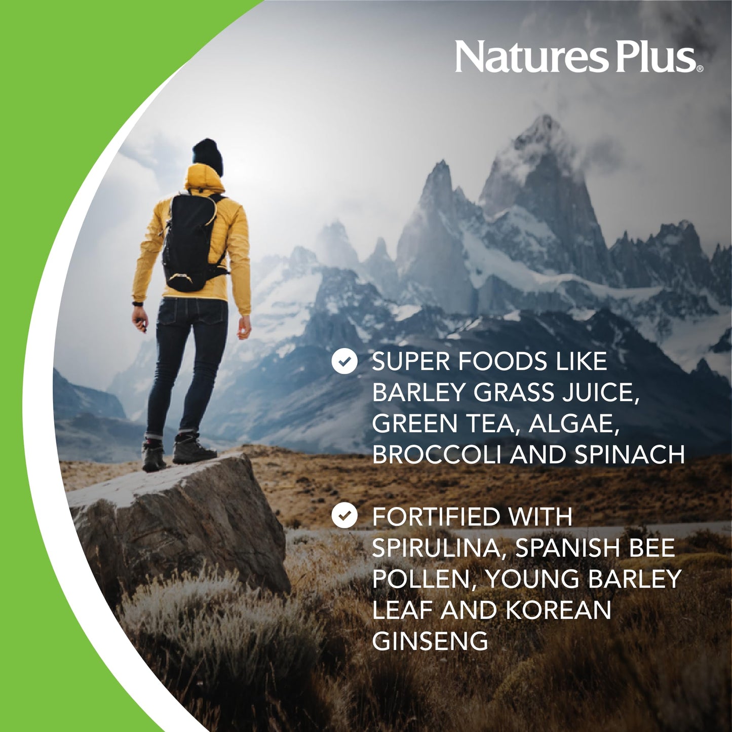 NaturesPlus FRUITEIN Revitalizing Green Foods Shake – Plant-Based Protein, 16 Servings