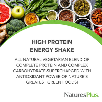 NaturesPlus FRUITEIN Revitalizing Green Foods Shake – Plant-Based Protein, 16 Servings