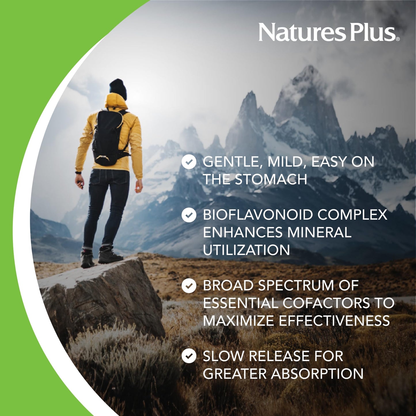 NaturesPlus Hema-Plex Iron - 85 mg Elemental Iron + Vitamin C & Bioflavonoids | 60 Tablets | Vegan, Gluten Free | 30 Servings