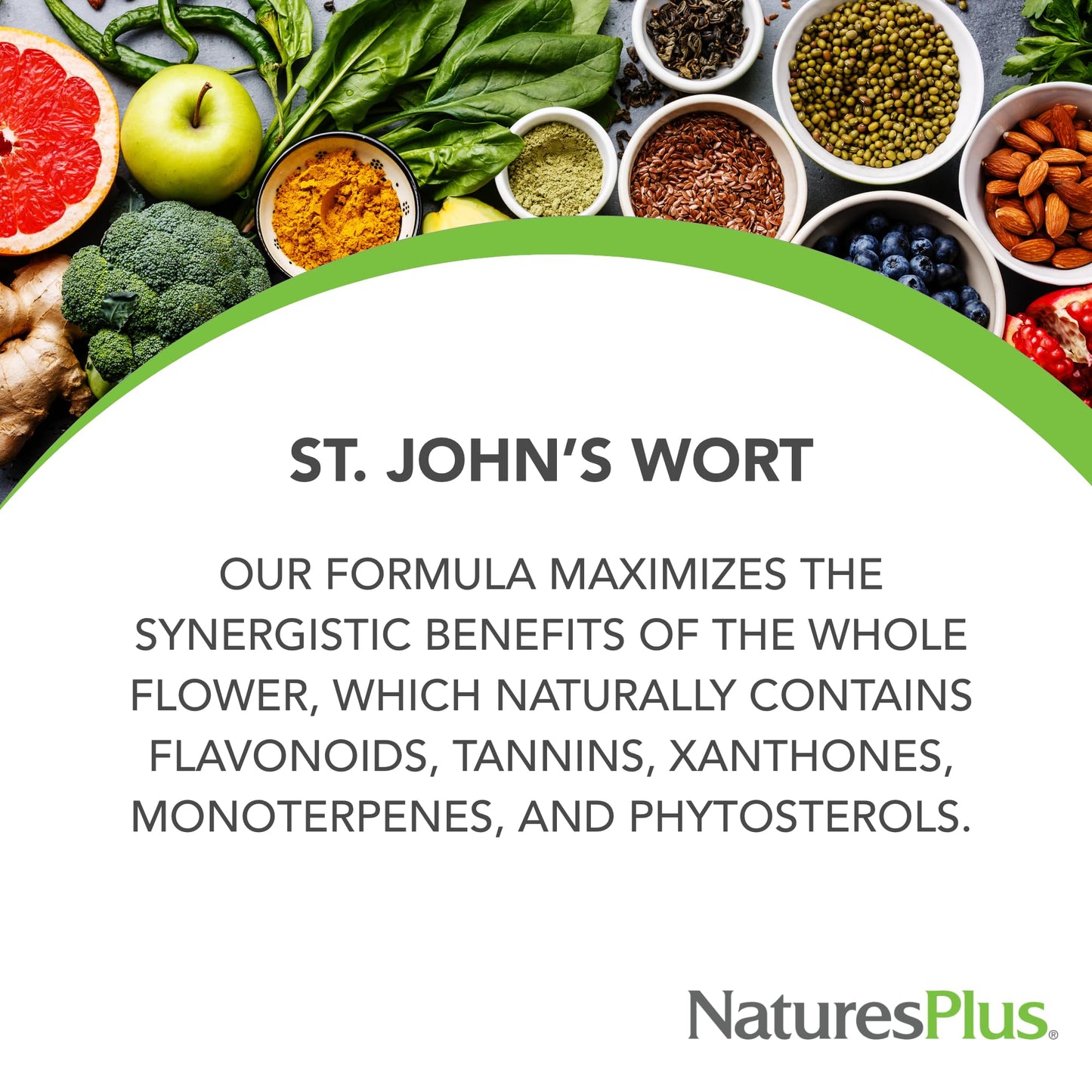 NaturesPlus Herbal Actives St John's Wort – Extended Release 450 mg, 60 Vegan Tablets