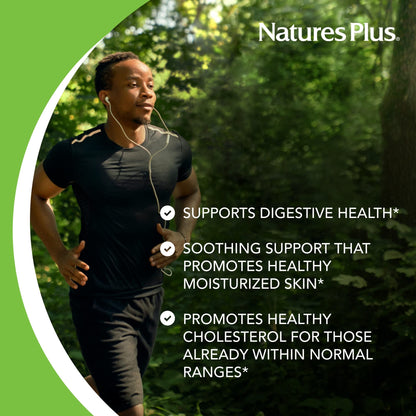 NaturesPlus Lecithin 1200 mg | 90 Softgels | Gluten Free | 90 Servings