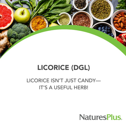NaturesPlus Herbal Actives Licorice (DGL) 500 mg — 60 Veg Capsules (Pack of 4) | Supports Digestion