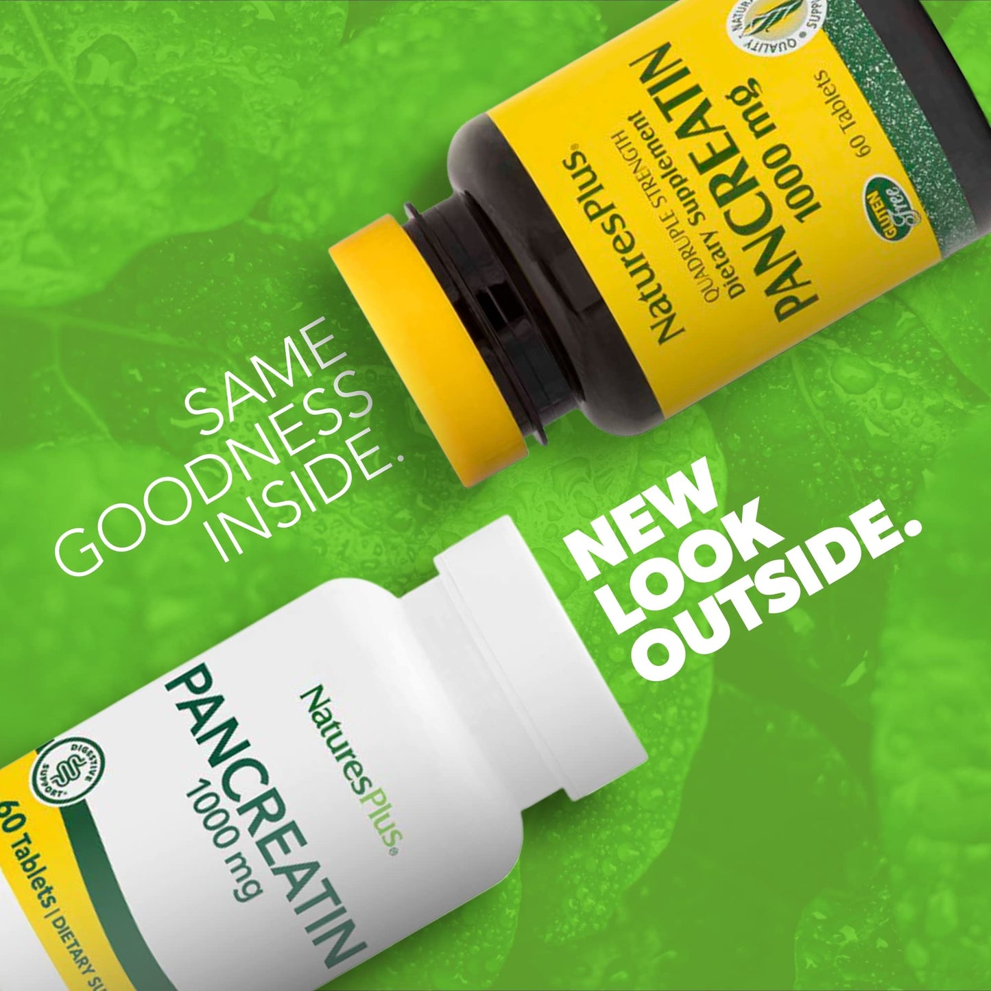 Natures Plus Pancreatin 1000 mg | 60 Tablets - Gluten-Free Digestive Enzyme