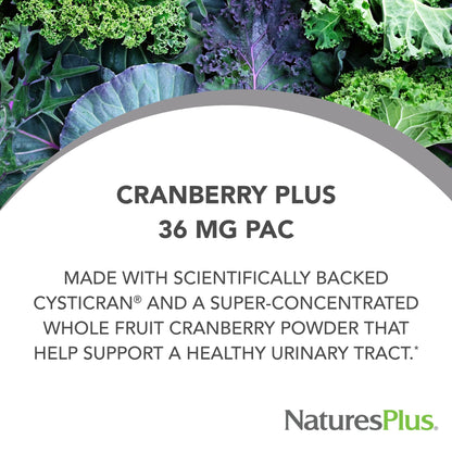 NaturesPlus PRO Cranberry Plus - 60 Capsules | Non-GMO, Gluten Free | 60 Servings