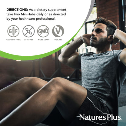 NaturesPlus PRO Longvida Curcumin 1000 mg - 60 Mini-Tabs, 30 Servings - Non-GMO, Vegan