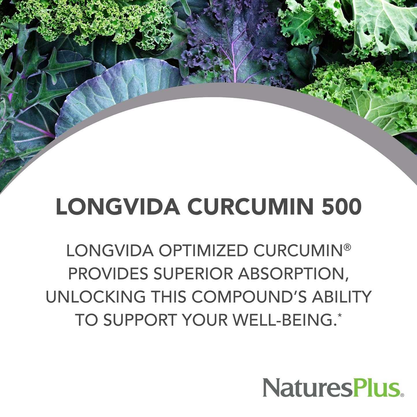 NaturesPlus PRO Longvida Curcumin 500 mg - 60 Capsules | Non-GMO, Vegan & Gluten Free