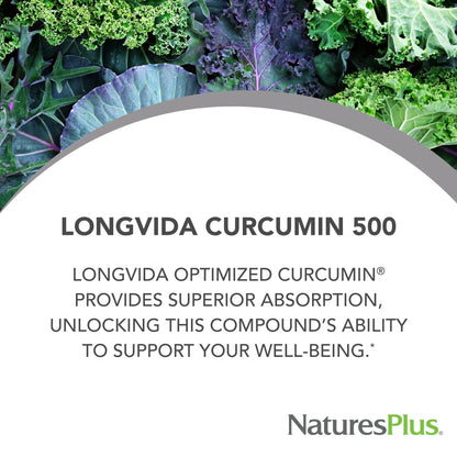 NaturesPlus PRO Longvida Curcumin 500 mg - 60 Capsules | Non-GMO, Vegan & Gluten Free