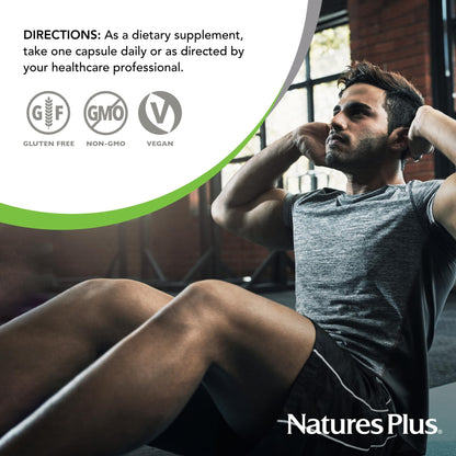 NaturesPlus PRO Longvida Curcumin 500 mg - 60 Capsules | Non-GMO, Vegan & Gluten Free