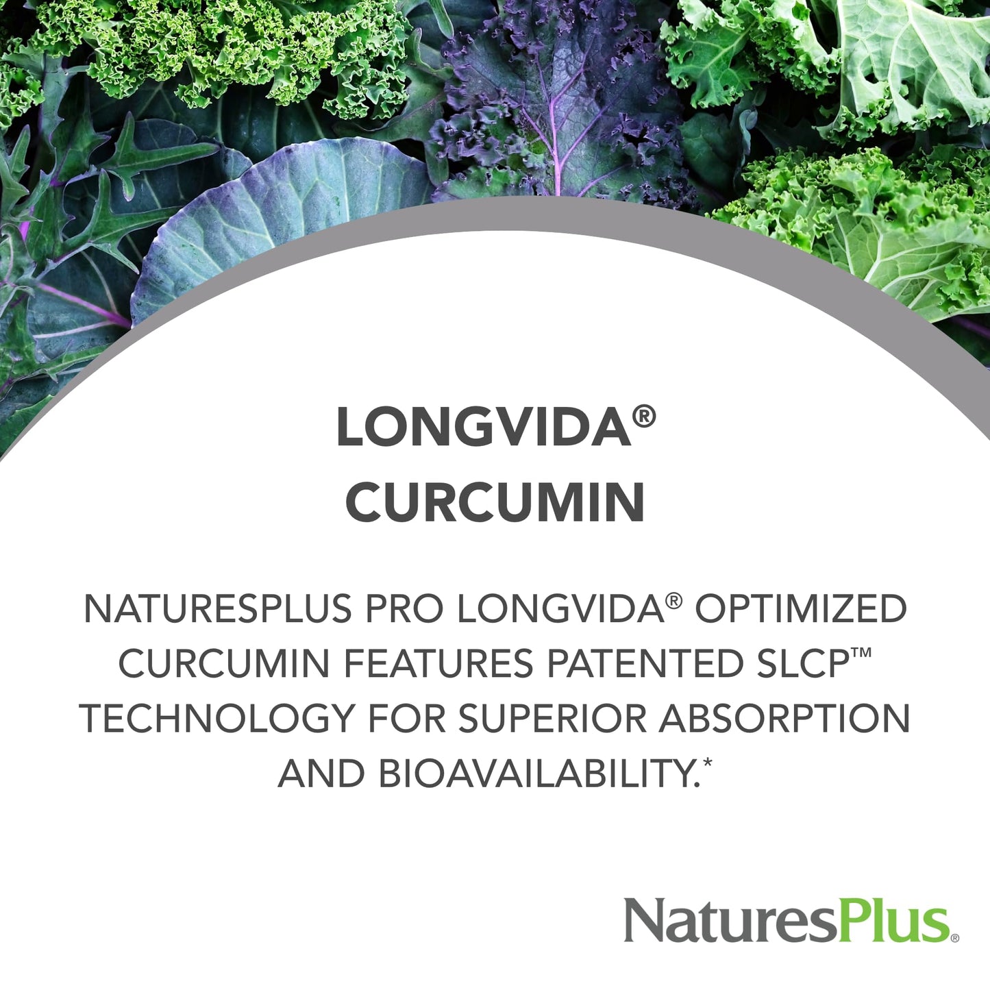 NaturesPlus PRO Longvida Curcumin - 60 Lozenges (30 Servings) | Non-GMO, Vegan, Gluten Free, Soy Free