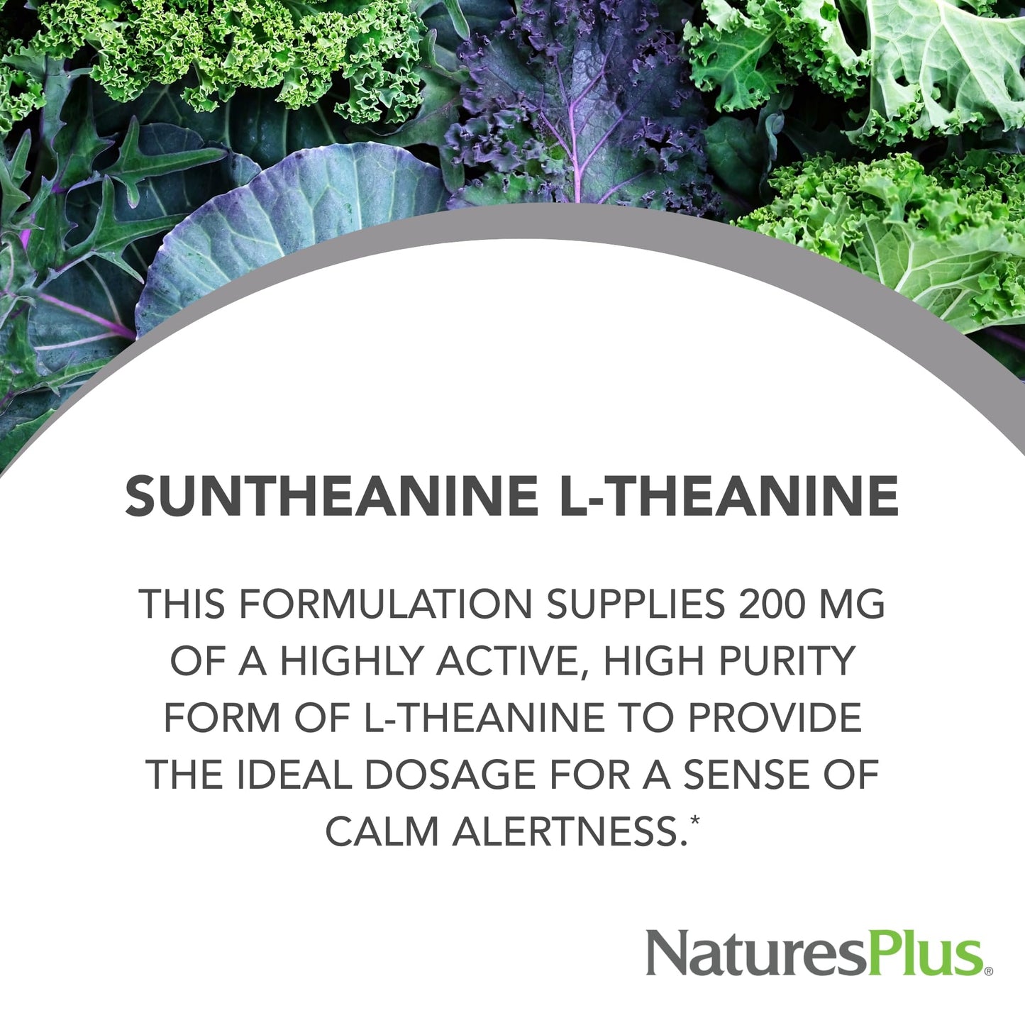NaturesPlus PRO Suntheanine L-Theanine - 60 Capsules | Calm Alertness, Relaxation & Rest | Non-GMO, Vegan & Gluten Free