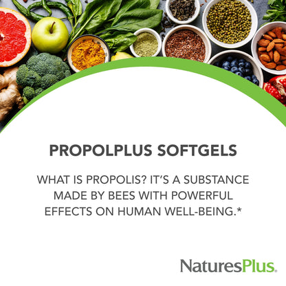 NaturesPlus Propolplus 180 mg Propolis Softgels with Bee Pollen