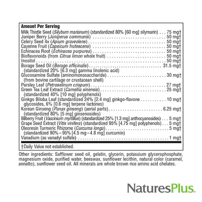 NaturesPlus Regeneration - 90 Softgels (Pack of 2) | Gluten Free Multivitamin & Mineral