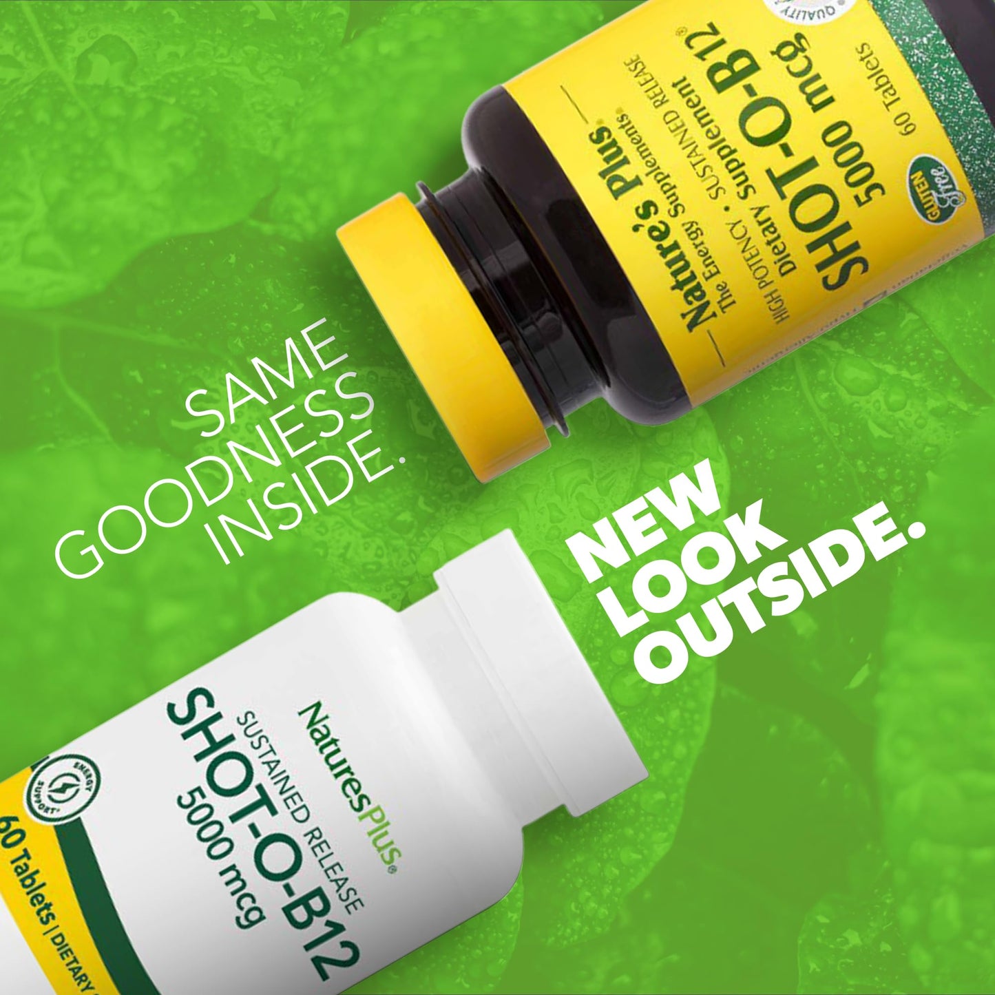 NaturesPlus Shot-O-B12 5000 mcg – 60 Servings, Vegetarian & Gluten Free | Energy & Mood Support