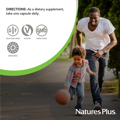 NaturesPlus Source of Life Garden Organic Iron 18 mg – 30 Vegan Capsules