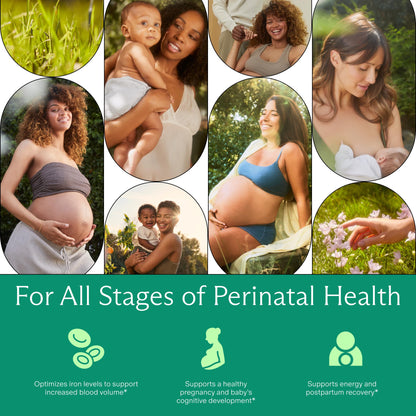 Prenatal Iron Supplement – Ferrous Bisglycinate | Energy, Baby Development & Gentle on Stomach | Flexible Dosing
