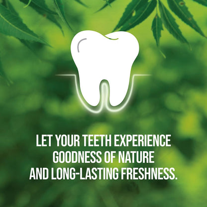 Neem Active Toothpaste 200g Pack | 98% Natural, Pure Vegetarian