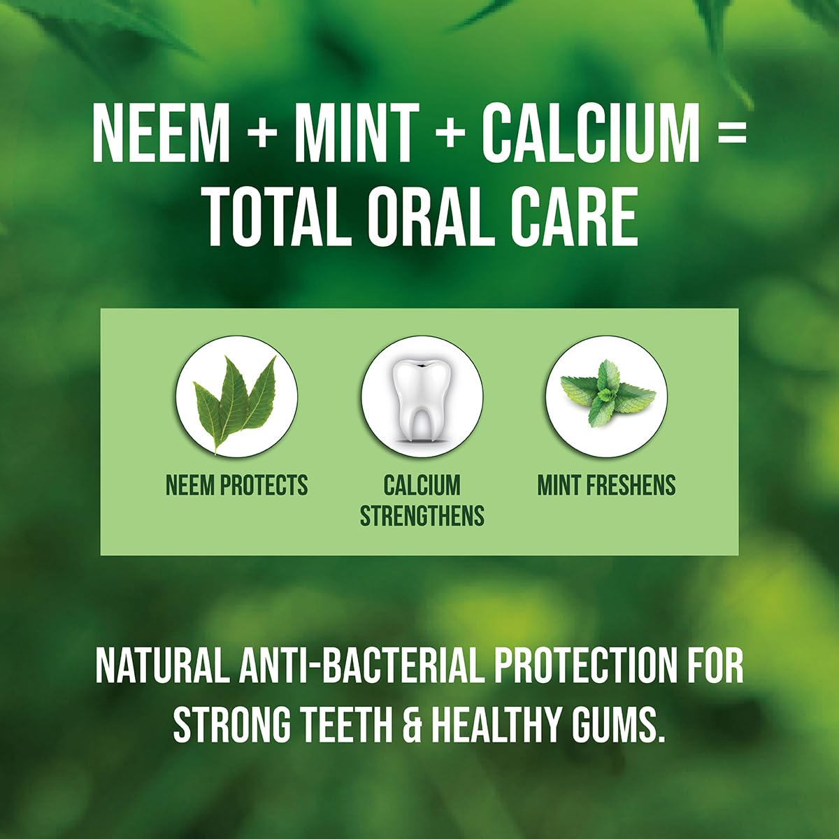 Neem Active Toothpaste 200g Pack | 98% Natural, Pure Vegetarian