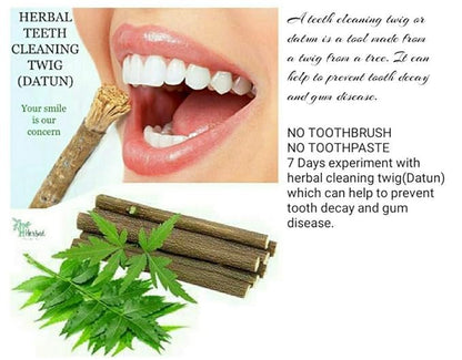 Ayurvedic Neem Datun - Organic Toothbrush Twig (5-7 in) Pack of 10
