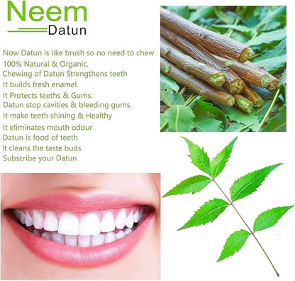 Ayurvedic Neem Datun - Organic Toothbrush Twig (5-7 in) Pack of 10