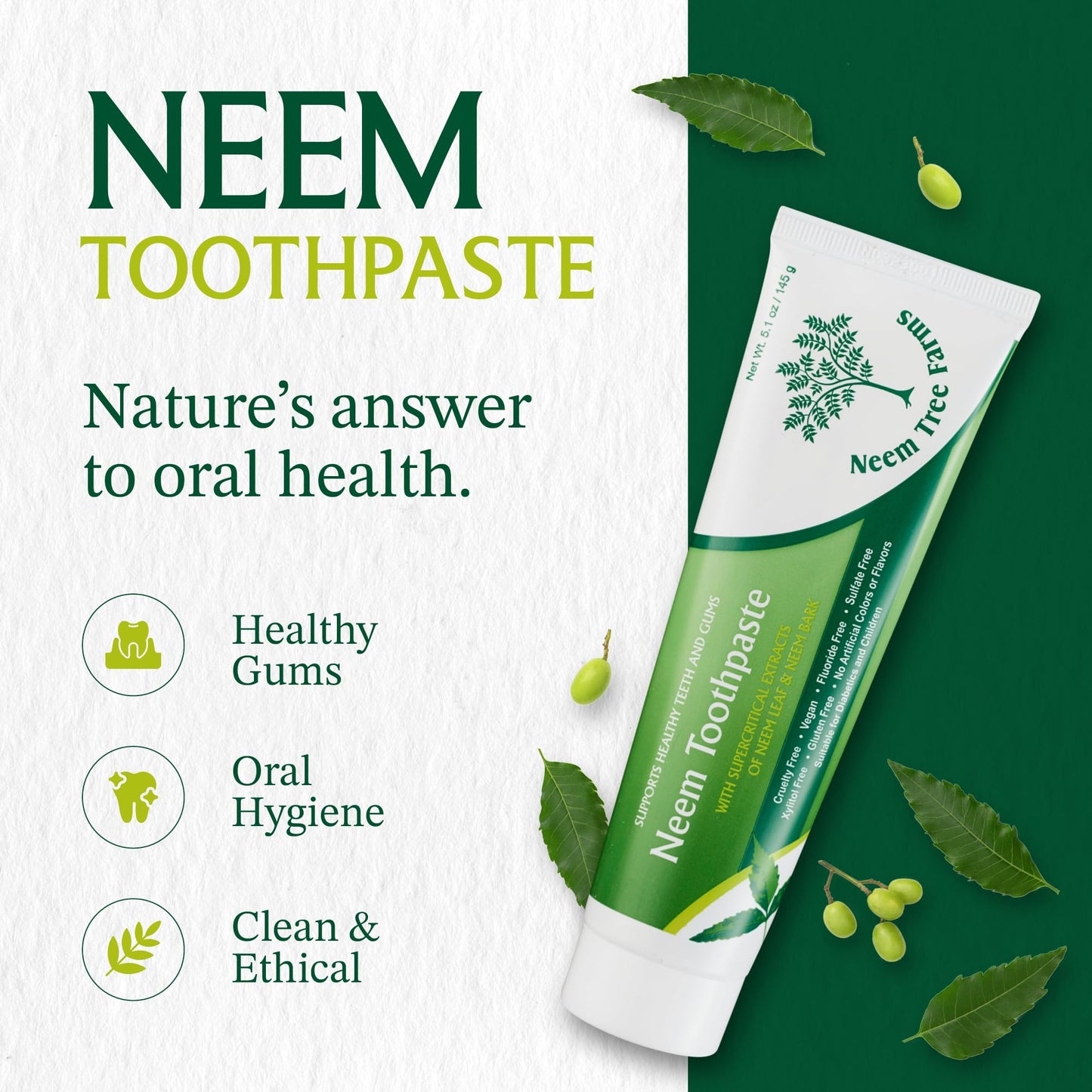 Neem Fluoride Free Toothpaste – Vegan, Gluten-Free | Clove & Stevia (Single Pack)