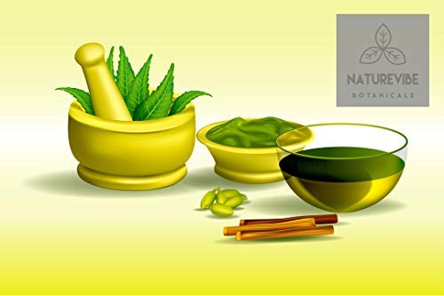 Neem Leaf Powder 5lbs (80 oz) | Naturevibe Botanicals | Azadirachta Indica | Non-GMO & Gluten Free | 100% Pure & Natural