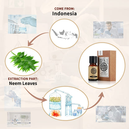 Neem Oil AKARZ — Organic Therapeutic Essential Oil for Skin, Hair, Diffuser | 10 ml