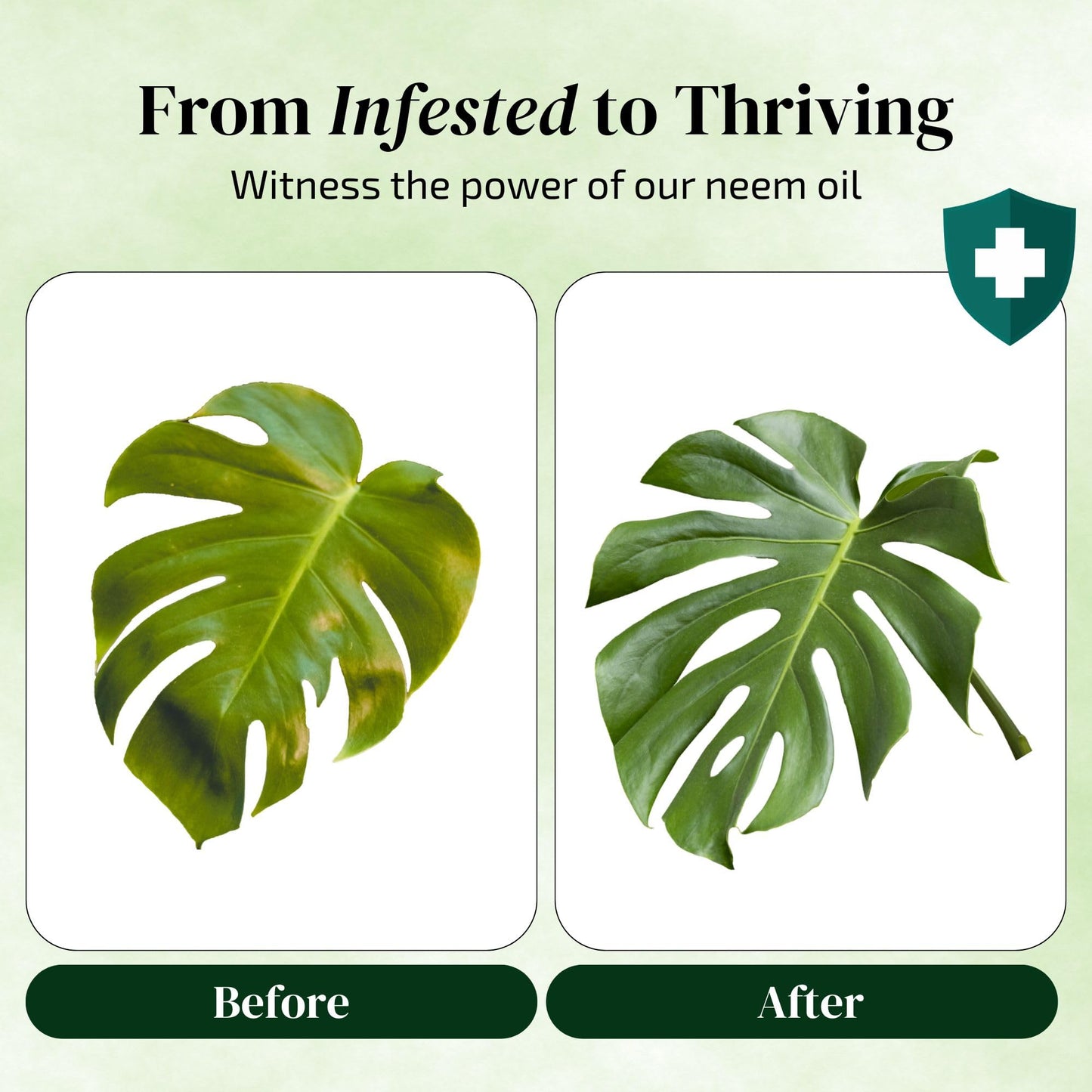 Neem Oil for Plants (Makes 480 fl oz) with Spray Bottle & Essential Oils | Indoor & Outdoor Garden