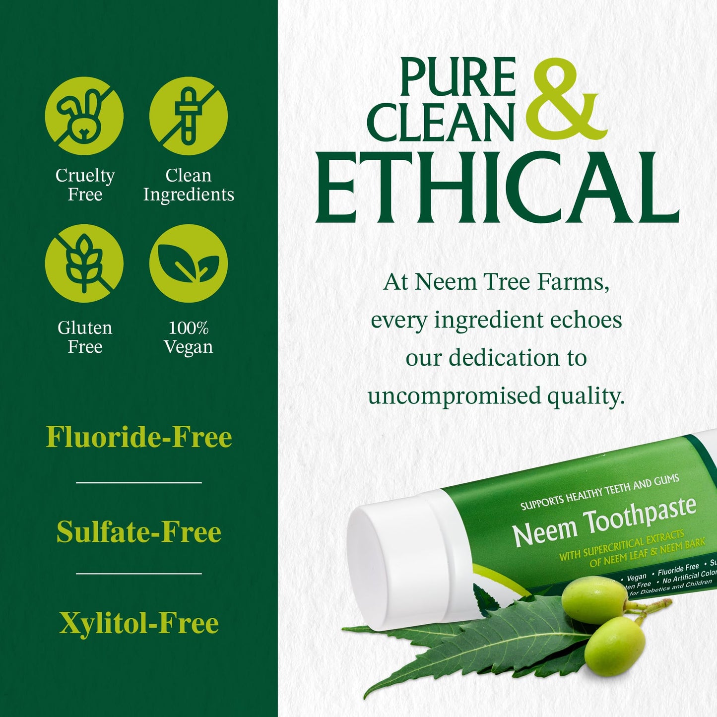 Neem Fluoride Free Toothpaste - Vegan, Gluten Free - Clove & Stevia - 4 Pack