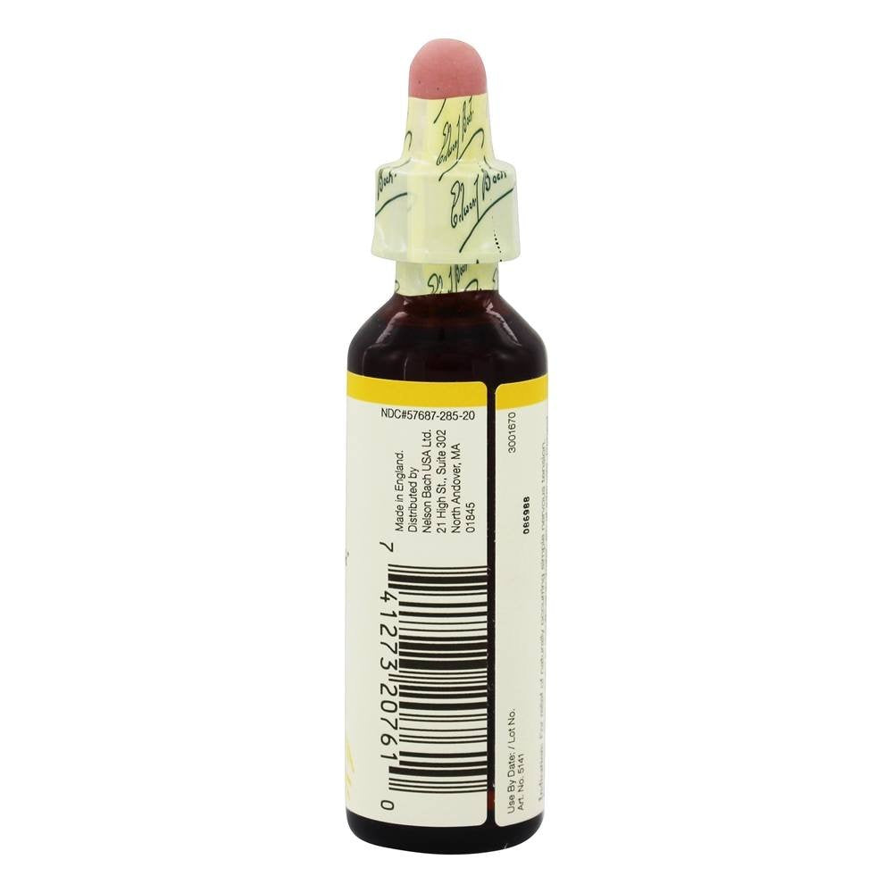 Nelson Bach Flower Wild Oat, 0.04 lb – Homeopathic Remedy