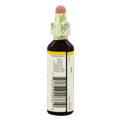 Nelson Bach Flower Wild Oat, 0.04 lb – Homeopathic Remedy