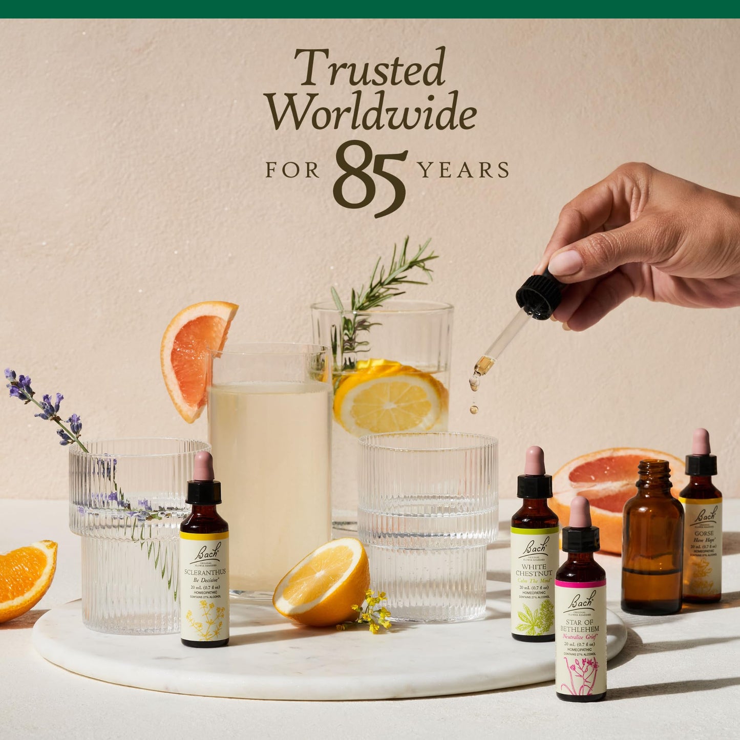 Bach Holly Flower Remedy - Goodwill Towards Others | 20mL Dropper