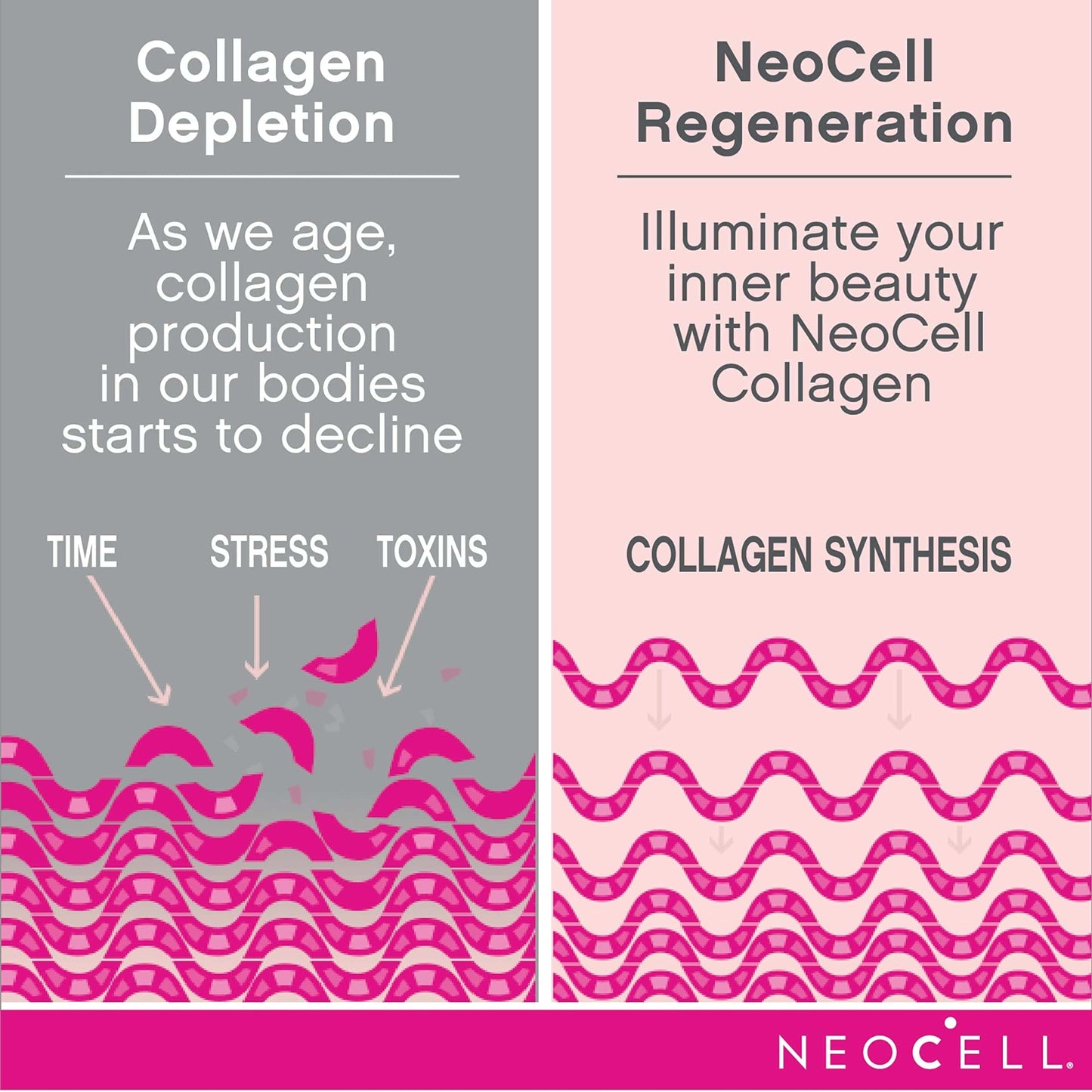 NeoCell Collagen Beauty Infusion with Biotin – Cranberry Powder, 11.6 oz
