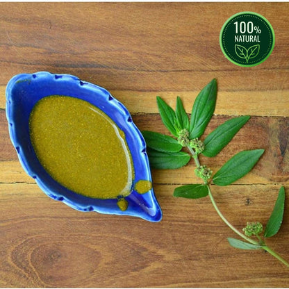 neotea Organic Euphorbia Hirta Powder | Amman Pacharisi | 300 GM (10.58 OZ) Pack of 1 | Premium Quality Herbal Supplement | 100% Pure and Natural | Boosts Immunity